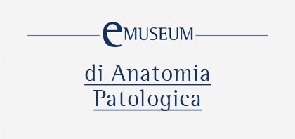 Museo Anatomia Patologica